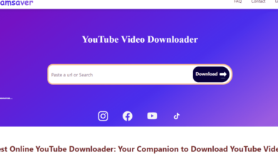 leading-youtube-video-downloaders:-mtyoutubecom-and-streamsaver.net