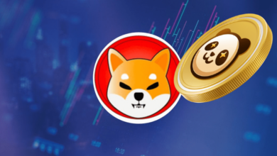 shiba-inu-(shib)-and-pandoshi-(pambo)-poised-to-be-market-leaders-in-2024